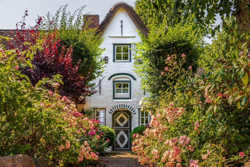 A picturesque white cottage with a thatched roof amidst blooming roses and lush greenery.